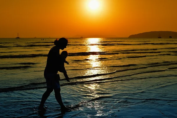 Pôr do sol com folhas de palma . — Fotografia de Stock