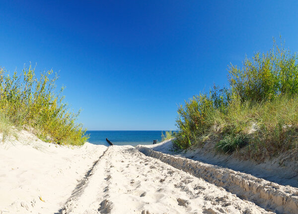 Beach on the Baltic sea