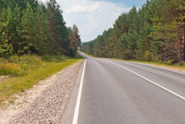 Çam ormanında yol
