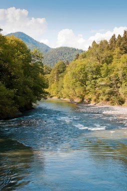 vahşi güzel dağ Vadisi Nehri