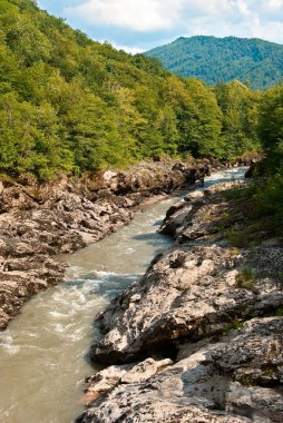 vahşi güzel dağ Vadisi Nehri