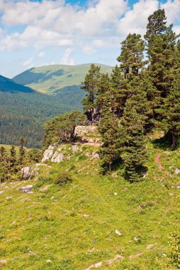 güzel yaz dağ manzara mavi gökyüzüne karşı