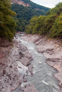 vahşi güzel dağ Vadisi Nehri