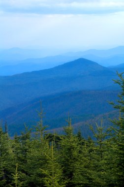 Dumanlı dağlar, blue ridge