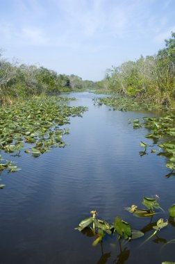 Everglades Ulusal Parkı