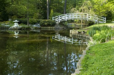 Japon Zen Bahçesi
