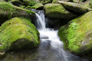 Mossy waterfall clipart