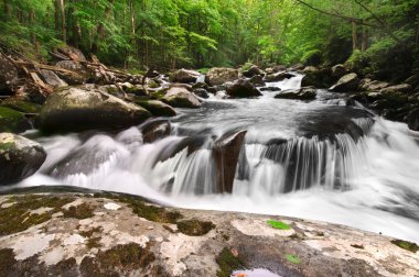 Smoky Mountain Waterfall clipart