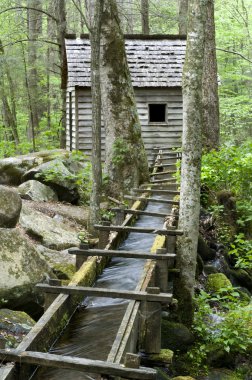 Reagan mill, Dumanlı dağlar