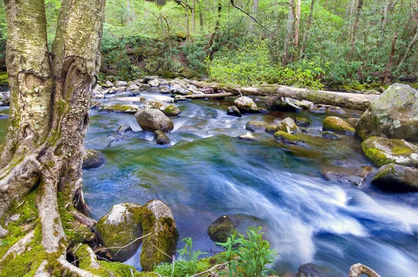 Gebirgsbach — Stockfoto