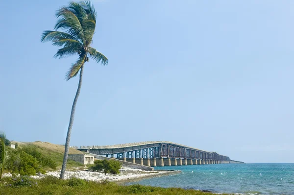 Florida keys brug — Stockfoto