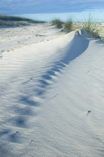 Песчаная дюна — стоковое фото