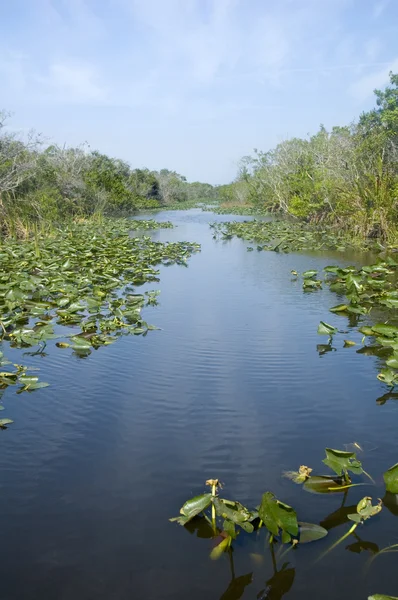 Everglades Ulusal Parkı