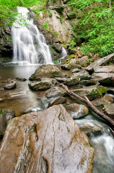 Cascate piatte di abete rosso — Foto Stock