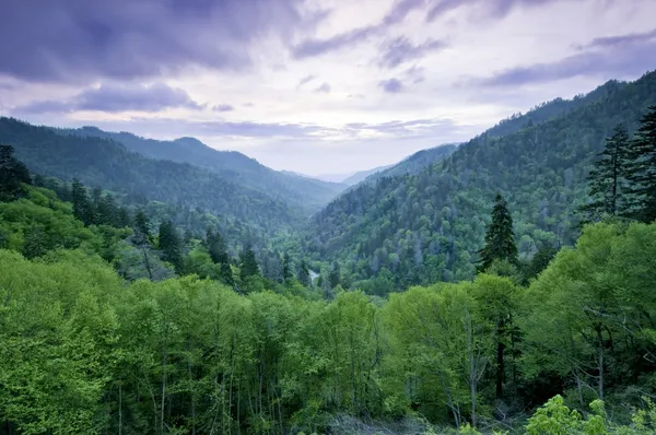 Regionie smoky mountains — Zdjęcie stockowe