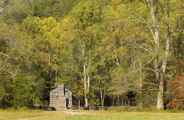 rustik günlük kabin, cades cove, büyük smoky Dağları Milli par