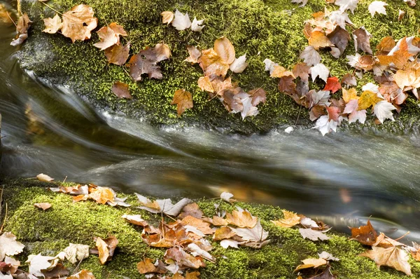 Herbstwasserfall — Stockfoto
