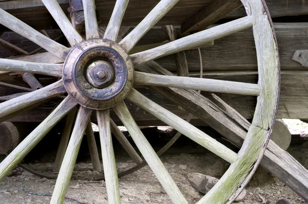 Ruota del carro — Foto Stock