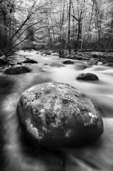 Corrente di montagna — Foto Stock