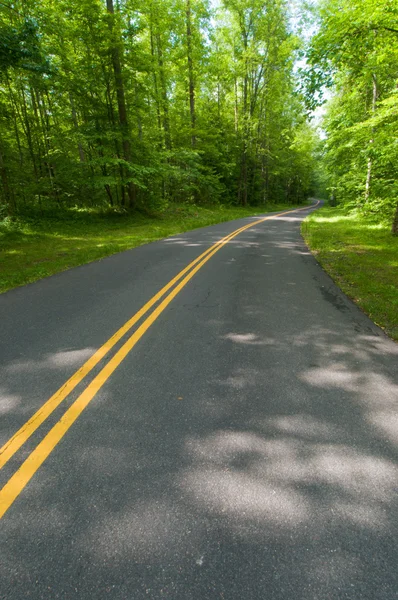 Country Road — Stock Photo, Image