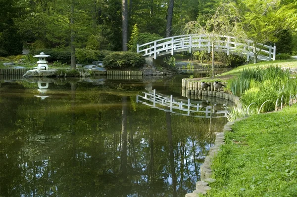 Japonská zen zahrada Stock Fotografie