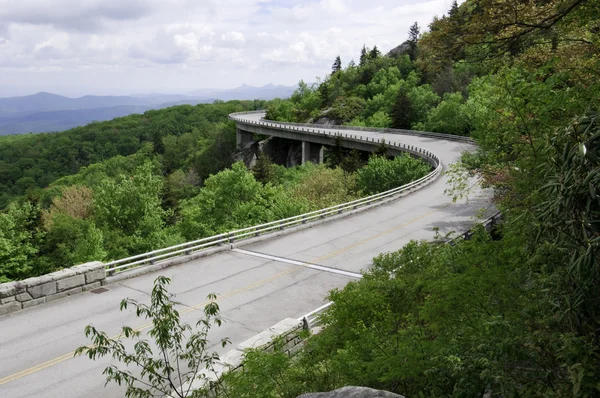 Linn Cove Viaduct Rechtenvrije Stockfoto's