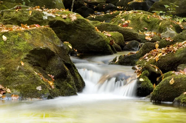 Wasserfall Stockbild