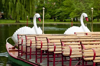 Boston Swan Boats clipart