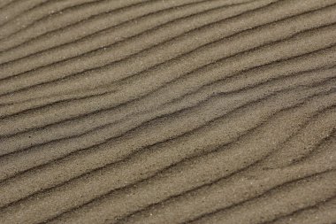 parıldayan denize kum .