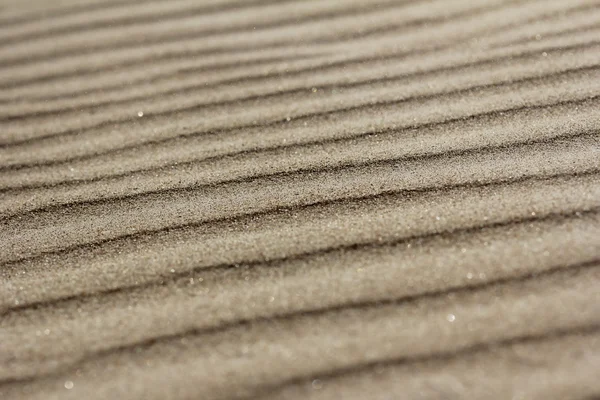 La scintillante sabbia marina  . — Foto Stock