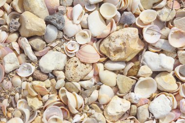 Deniz Akdeniz kıyısında.