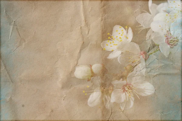 Gentle spring grunge texture with flowers on old paper with pastel colors — Stock Photo, Image