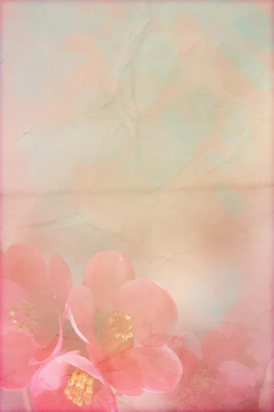 Gentle spring grunge texture with flowers on old paper with pastel colors — Stock Photo, Image