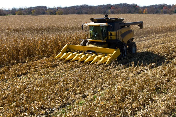 Corn Harvesting — Stock Photo, Image