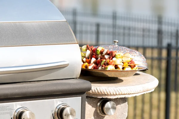 Vlees en fruit kebab — Stockfoto