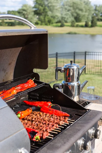 Barbecuing Skewers and red Chillies — Stock Photo, Image