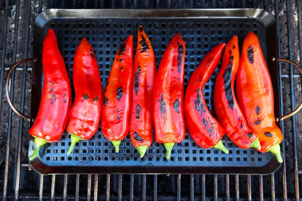 Chillies getting ready to be grilled on the grill — Stock Photo, Image