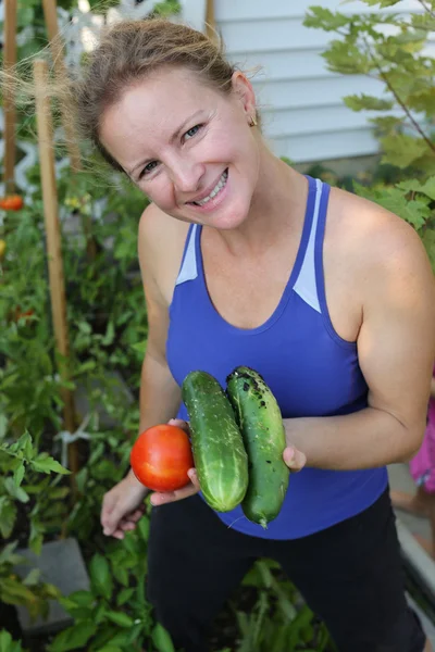 Picken tomaten en komkommers — Stockfoto