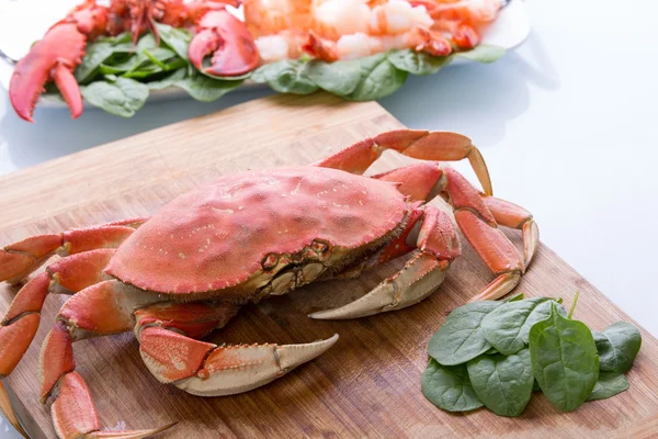 Prepearing Dungeness Crab e Red Lobster — Foto Stock