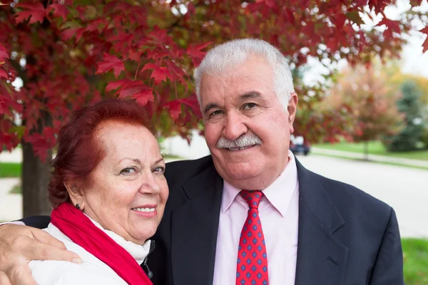 Senior koppel portret onder de boom in de herfst — Stockfoto