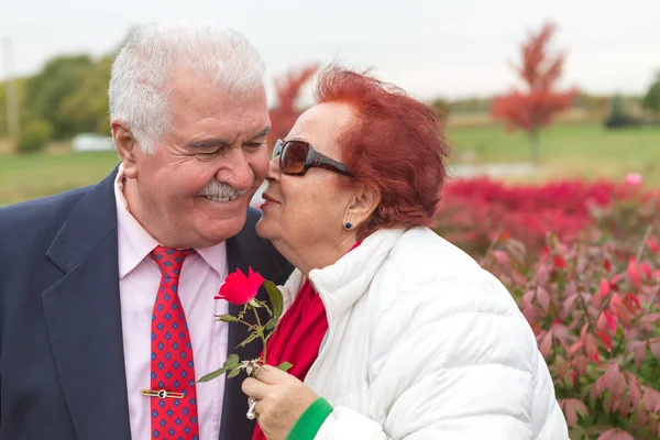 Seniorzy miłości i pocałunek — Zdjęcie stockowe