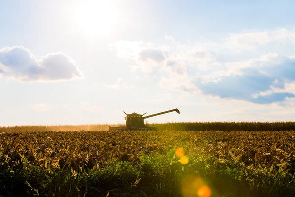 Corn Harvesting Machine Silhouette — Stock Photo, Image