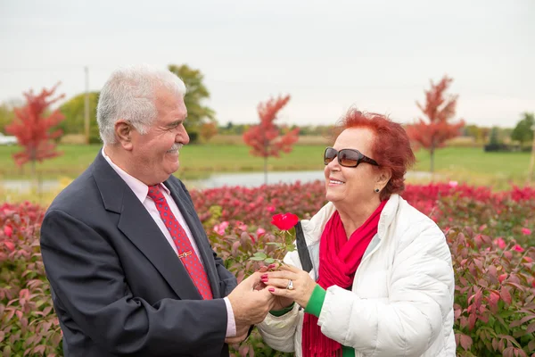 Romantiska senior tittar på varandra med kärlek — Stockfoto