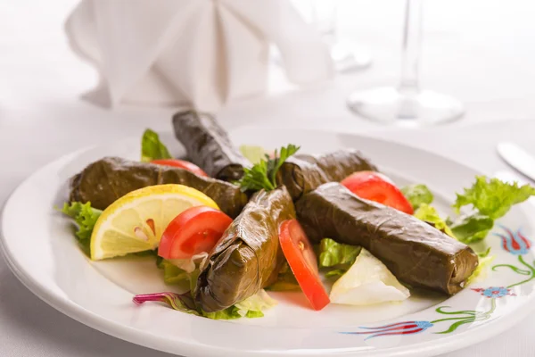 Török stílusú dolmas rendezett, paradicsom, citrom és saláta — Stock Fotó