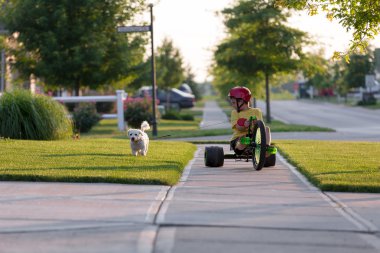 promener le chien avec tricycle dans le quartier