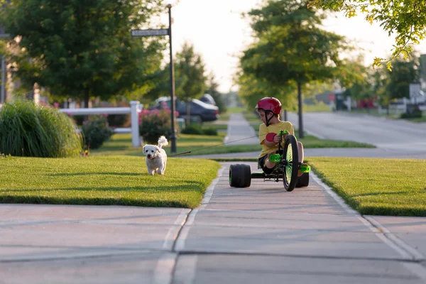 Caminhando o Cão com Triciclo no Bairro — Fotografia de Stock