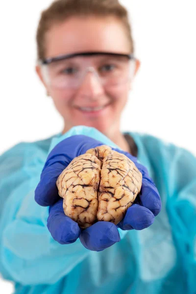 Pathologist holding a brain in her hand — Stock Photo, Image