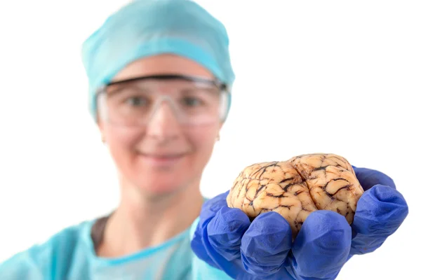 Pathologist holding a brain in her hand — Stock Photo, Image