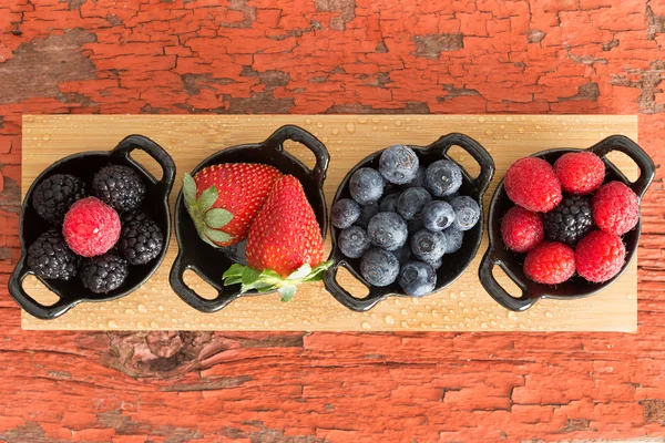 Assortment of ripe fresh autumn berries — Stock Photo, Image