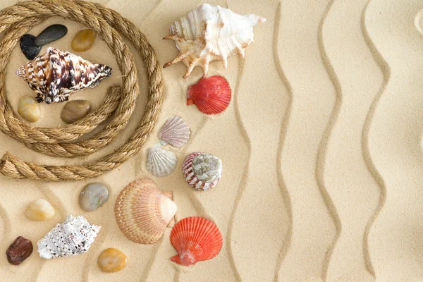 Meeresstilleben mit Muscheln, Steinen und einem Seil — Stockfoto